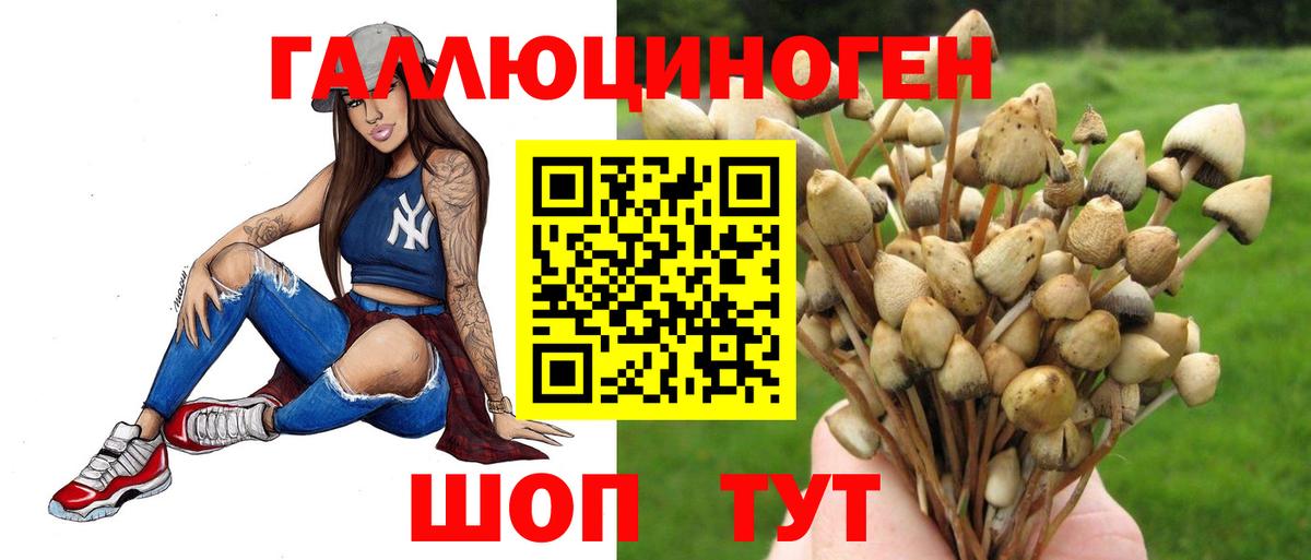 Октябрьский  Галлюциногенные грибы Cubensis  Вход с VPN  Галлюциногенные грибы Cubensis 